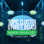 SEO topic cluster ve konu kümeleme stratejisi vaka analizi illüstrasyonu