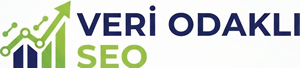 Veri Odaklı SEO