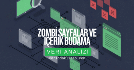 Zombi Sayfaları Temizlemek: İçerik Budama Rehberi